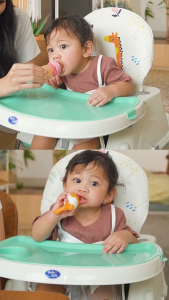 Baby Safe Fruit Feeder JP033 Baby Food Mesh Feeder Dot Buah Bayi