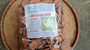 1kg cây chạc chìu sấy khô - thanh nhiệt giải độc