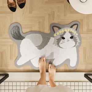 Water-Absorbent Anti-Slip Door Mat