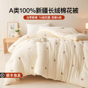 Thickened Cotton Quilt Winter Comforter Air Conditioner Quilt Warm Spring Autumn Children Summer Cool Quilt Four Seasons Universal