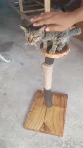 EUCAZA คอนโดแมว ที่ลับเล็บแมว ของเล่นแมว บ้านแมว คอนโดแมวราคาถูก เสาลับเล็บแมวได้ ต้นไม้แมว มีกระดิ่งลูกตุ่มให้แมวไว้เล่นสนุกสนาน