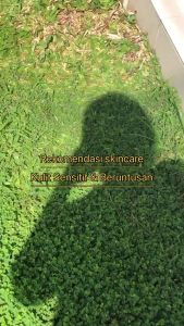 Paket Perawatan Kulit Moreskin Nature: Manfaat & Cara Penggunaan