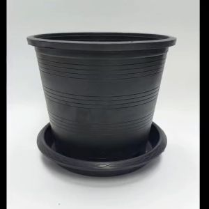 จานรองกระถางต้นไม้พลาสติก สีดำ ขนาด 6นิ้ว และ 8นิ้ว (แพ็ค 10 ใบ)