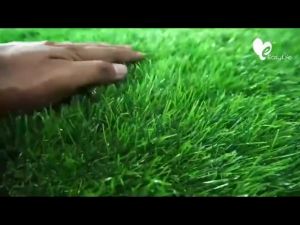 🎉🎉🎉 หญ้าเทียม หญ้าเทียมเกรด A หญ้าสูง 3 cm กว้าง 2 M ยาว 20 M สำหรับตกแต่งสวน ตกแต่งบ้าน หญ้าปูพื้น ราคาถูก คุณภาพดี