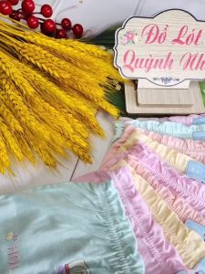 Sét 10 quần sịp đùi mặc váy bé gái từ 1 đến 12 tuổi lưng thun chất cotton xịn co giãn [7899] Size : 8 - 27 KG - Đồ Lót Quỳnh Nhi