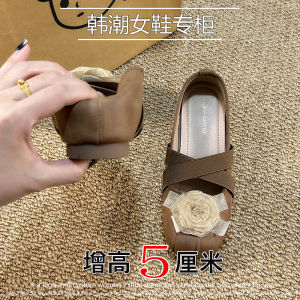 Ballet Flats Cross Strap Pig Nose round Head Soft Bottom Princess Shoes Womens Casual Fashion Single Shoes Mary Jane Shoes