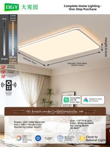 DGY | Modern Simple Elegant Eye-protection Ceiling Light For Living Room