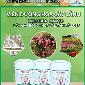 Giá sốc chỉ 115k / hộp 250 viên phân bón tan chậm vitamin BUVIPLANT dinh dưỡng cho cây