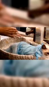 BOB PET Cat Grooming Bath Bag Cat Bathing Bag Mesh Pet Nail Care Net Anti Bite Scratch For Cat Restraint Bag
