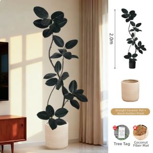 Decorative Simulated Green Plant