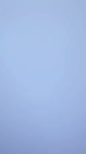 Mẫu A16_Giày búp bê nữ mũi nhọn gót vuông 5p phối nơ miu miu chất tuyết nhung mịn cực xinh