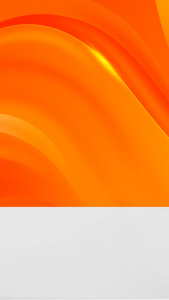 Maxi Cat Chicken & Turkey 20kg Isi 25Pcs 800gr - Makanan Kering Kucing 20Kg