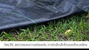 ผ้าคลุมดิน(เกรด A) คลุมดิน พลาสติกคลุมวัชพืช ผ้าคลุมหญ้า พราสติกคลุมดิน ผ้าคลุมวัชพืช น้ำซึมผ่านได้ คลุมวัชพืช 50/100m