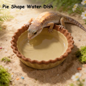Dessert Pie Style Reptile Water Dish PETG Bowl for Leopard Gecko Crested Gecko Lizard Feeding Tray Terrarium Dec Easy Clean