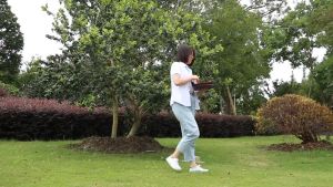 Telescopic Portable Stool: A Multi-Purpose Solution for Fishing, Hiking & Travel