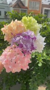 Bông Cẩm Tú Cầu Giả Giống Thật Nhiều Màu 265cm Hoa Cẩm Tú Cầu Vải Lụa Trang Trí Phòng Để Bàn Làm Việc Trang trí tiệc cưới studio cửa hàng quán cà phê Ảnh thật hoa cẩm tú cầu giả