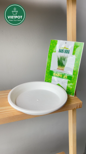 Hạt giống rau gia vị & củ quả Rado Vietpot Dễ Trồng Nảy Mầm Thu Hoạch Năng Suất Cao.