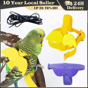 Parrot Flying Harness Leash Suit Pet Bird Outdoor Flight Training Rope Cockatiel Supplies Macaw Accessories Stuff for Budgie