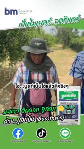 ส่งไว ปลอดภัย ปราศจากแคดเมียม+BY2 ป้องกัน ทุเรียน มังคุด ลำไย เงาะ ไม้ผล พืชผัก ขาดธาตุอาหาร เร่งใบให้เขียวเข้ม ยืดอายุของใบ  เพิ่มการสะสมแป้งด้วย บูสท์เบ็น