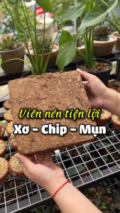 Viên nén xơ chip mụn dừa 1Kg đã qua xử lý - Giá thể trồng cây chất lượng cao | Độc quyền Family Garden
