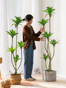 Realistic Simulated Plant Decoration
