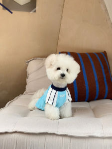 LululGold Glow-in-the-dark Cooling Pet Clothes Summer Sun Protection Dog Vest Thin Model for Medium And Small Dogs