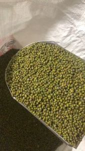 Đậu xanh hột tây ninh