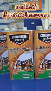 เชนไดร้ท์ (CHAINDRITE) ยากำจัดปลวกแบบทา 3 สี สีใส สีน้ำตาล 5 ลิตร