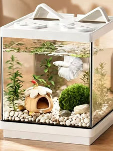 HUICHONG | Ecological Mini Betta Aquarium