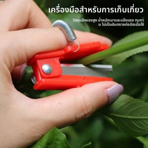 มีดหัวแม่มือสําหรับเก็บเกี่ยว Mini Pruner สําหรับองุ่นแตงกวาผัก Leaf ตัดและหยิบเครื่องมือใบมีดสแตนเลส