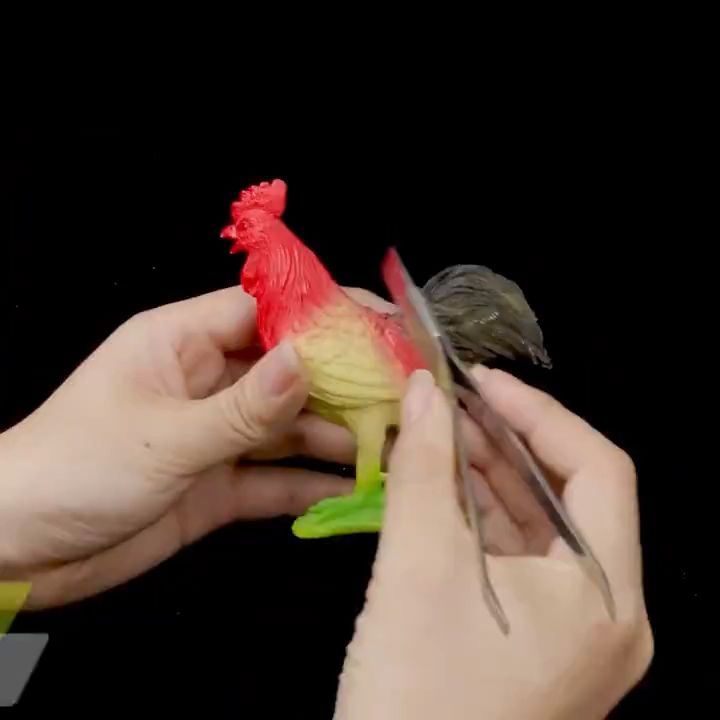 5 in 1 Chicken capon kit Stainless steel Caponizing tools Castration