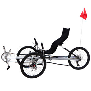 TRI-MATRIX | Foldable Disc Brake Tricycle Tilt Bike