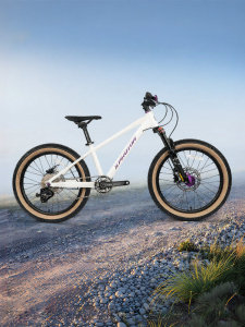 RoyalBaby | Youth Lightweight Racing Mountain Bike