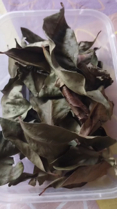 500 Gram Daun Salam Kering / 250 Gram Daun Salam Kering Alami