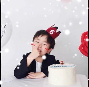 ท็อปฮิต หมวกตัวเลขวันเกิด เด็กชายเด็กหญิง มงกุฎครบรอบปี ชุดตกแต่งสัตว์เลี้ยง ปาร์ตี้ธีมน่ารัก อุปกรณ์ฉลองครบรอบปี