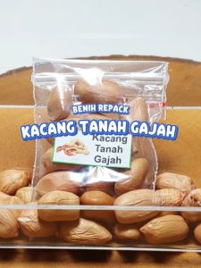 Benih Kacang Tanah Gajah Unggulan Berkualitas biji bibit repack jumbo besar coklat garuda dua kelinci super hydroponik hidroponik sayur sayuran pot