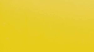 PIGEON TEENS Face Powder 12g || Bedak Tabur Pigeon