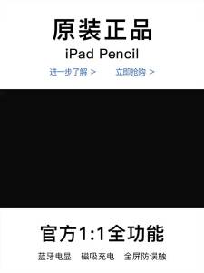 HANNUO | First Second Generation Compatible Stylus for iPad