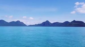 Bộ Đồ Lặn Bằng Cao Su Tổng Hợp 3mm Dành Cho Nam Và Nữ Tay Dài Một Mảnh Khóa Kéo Phía Sau Dùng Cho Lặn Lướt Sóng Lặn Với Ống Thở Bơi Lội