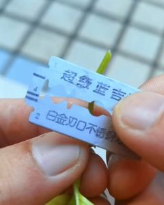 50 Pcs Small Clear Grafting Clip for Seedling Model B | Klip Kecil Bening Sambung Pucuk Batang Bibit Tanaman