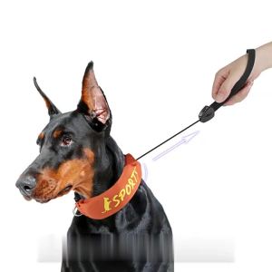 HamshMoc Retractable Dog Collar Leash 2-in-1 Adjustable Neck Size Durable Oxford Fabric for Medium/Large Breeds
