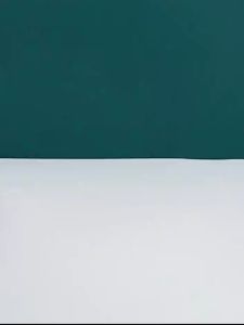 Kitchenware Nordic Plastic Wooden Handle Round Cup Mug