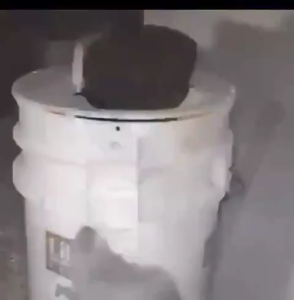 💥Japan technology💥 Mouse Trap For Big Rats Rat Trap Bucket Smart mouse trap Plastic cover is automatically reset flip Mouse catcher trap Safe and nontoxic Auto Reset Trap Door Style Bucket