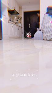 bộ áo quần thu đông tết 2026 (jumsuit) múa lân cho chó mèo - T3 PETS SHOP