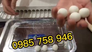 Khuôn làm viên mochi viên khoai đông y dẻo thủ công size 16/19/23mm