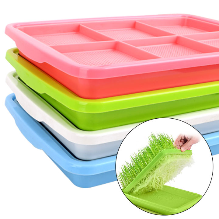 Planting Dishes Plate Seedling Tray Plant Tool 1 piece Growing Wheat ...