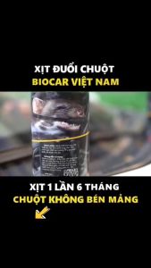Bình xịt đuổi chuột ô tô gián và côn trùng hiệu quả cao cho nhà ở an toàn từ thiên nhiên