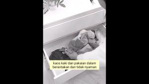 Storage Box Organizer / Tempat Penyimpanan Underwear / Celana Dalam Pakaian Kotak Bra Pouch
