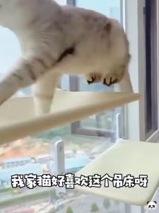 Foldable Cat Window Perch Bed Hammock Cat Window Wall Perch Hammock Seat with 4 Strong Suction Cups