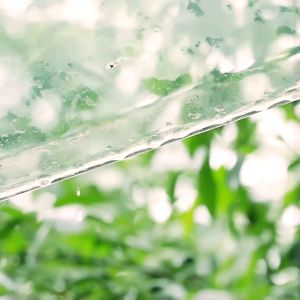 Morphy Richards 4 Layers  Food Dehydrators  Dried Fruit Machine Fruit Dryer Household Food Dryer Small Pet Snacks Fruits and Vegetables 水果烘干机